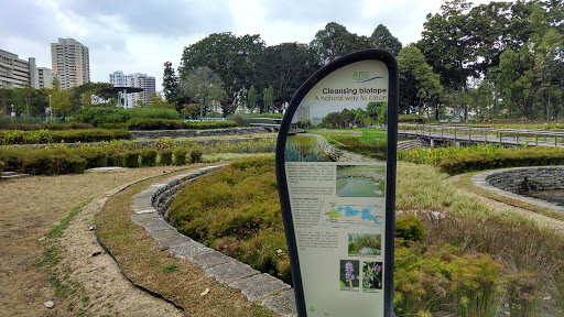 Bishan Park: Cleansing Biotope Garden