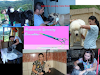 Academia De  Grooming   Peluqueria  Canina