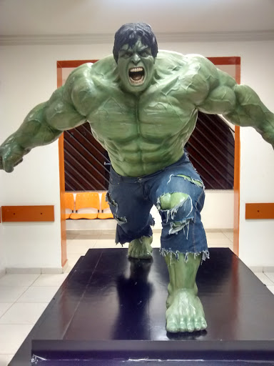 Hulk Gracom
