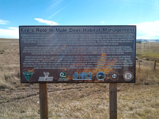 Fire's Role In Mule Deer Habitat Management