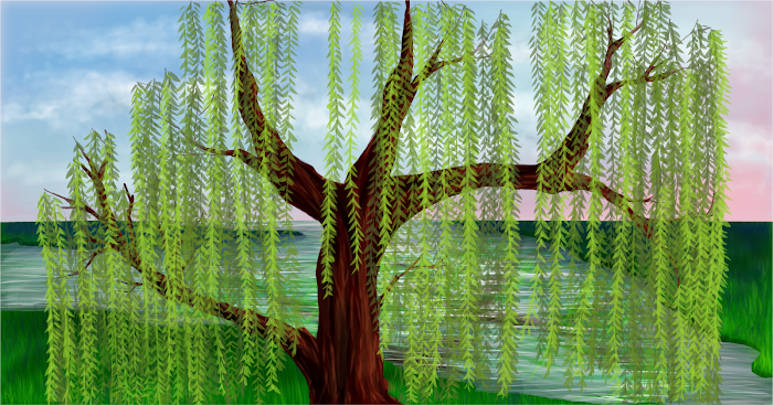 Willow Tree