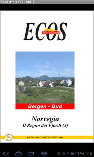 NORVEGIA-Regione dei Fiordi 6