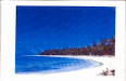 Solares Con Playa Y Fincas En Todo El Pais