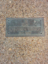 Canyon Watch