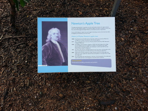 Newtons Apple Tree
