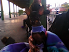 Pinscher Mini  Tamano 0 H De 9 Meses