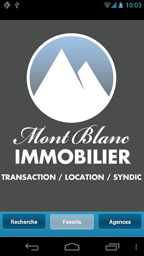 Mont Blanc Immobilier