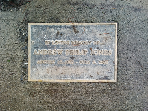 Andrew Philip Jones Memorial Bench