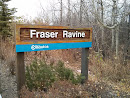 Fraser Ravine 