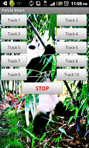 Giant Panda Sound Effects