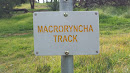 Macroryncha Track Trail Marker