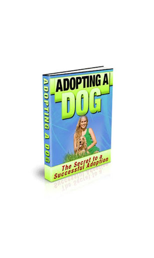 Adopting A Dog