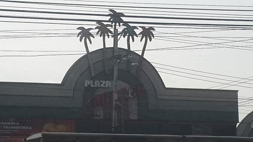 Plaza Mirage Palmtree Sign