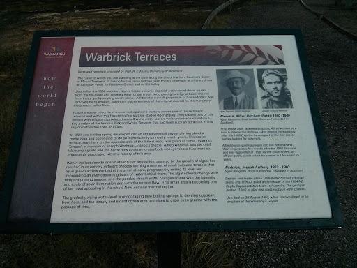 Waimangu Warbrick Terraces