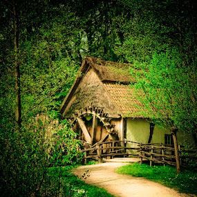 by Leire Unzueta - Landscape & Nature Forests