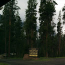 Crazy Creek Campground Shoshone National Forest 