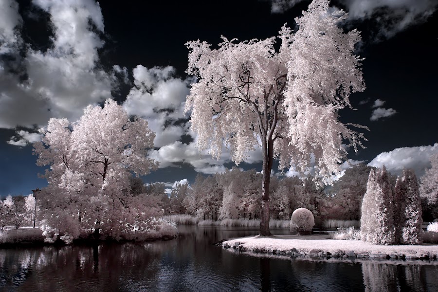 Infrared Scenery - Montreal Botanical Gardens by Rachel Bilodeau - Landscapes Waterscapes