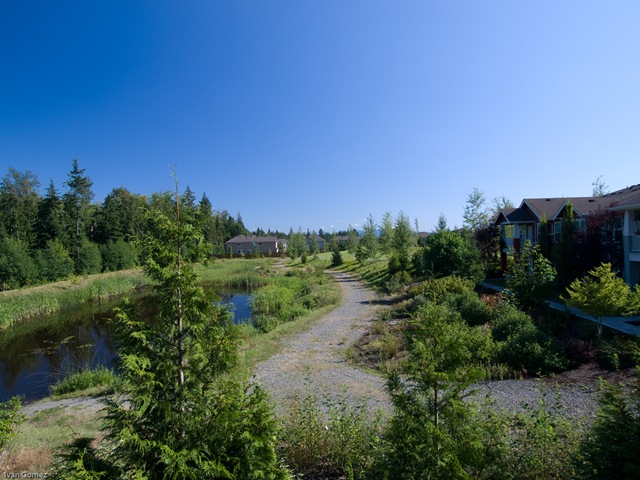 [P8233282-3[4].jpg]
