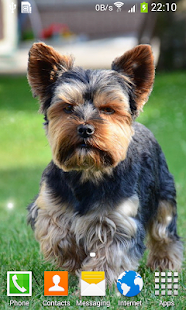 How to install Cute Puppy Live Wallpaper lastet apk for android