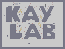 Thumbnail of the map 'Kaylab'