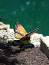 Butterfly Statue 