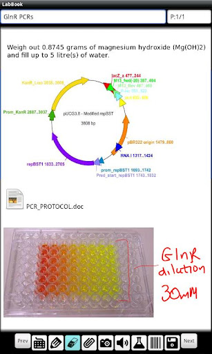 LabBook Beta