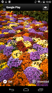 How to download Xtreme Wallpapers patch 1.2 apk for bluestacks