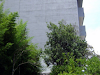 Lote En Escazu 9 San Rafael