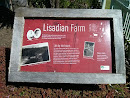 Lisadian Farm