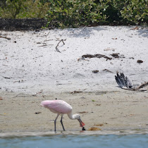Exploring Eastern Martin County