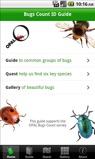 Bugs Count