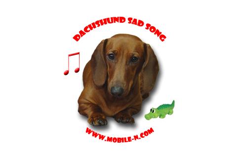 Dachshund sad song DONATE