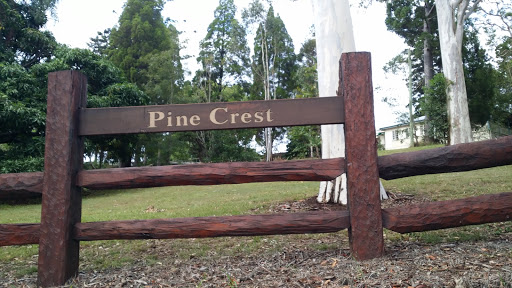 Pine Crest