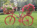 Красный Классный Велосипед
