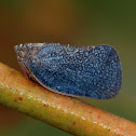 Tree Hopper
