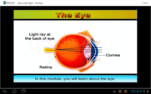How to install Eyes and Sight 1.0.0 apk for laptop