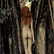 Morrighan_Talos-2011_09_07-206-2.jpg
