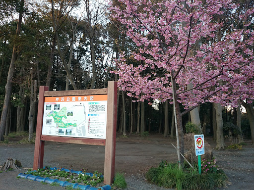 芹沢公園 案内図