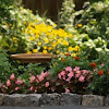 Birdbath Amongst the Flowers