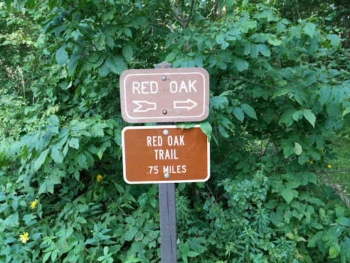 Red Oak Trail At Matsell Bridge Natural Area