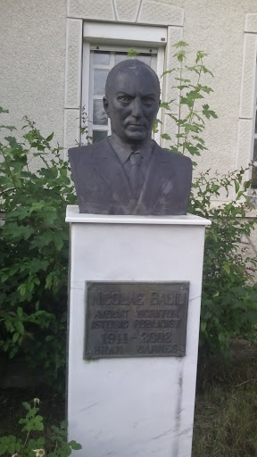 Nicolae Baciu Bust