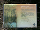Glen Iris Wetland Walk