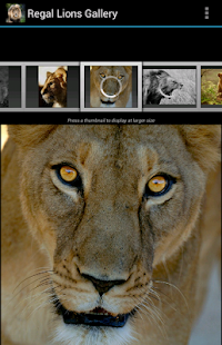 How to mod Regal Lions Gallery Wallpapers 1.00 unlimited apk for pc