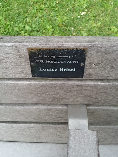 Our Precious Aunt Memorial Bench 