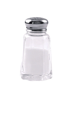 Salt Shaker