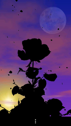 免費下載個人化APP|Rose Garden Live Wallpaper app開箱文|APP開箱王