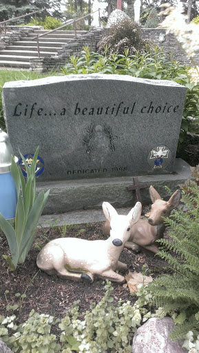 Life...a Beautiful Choice for Deer