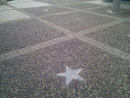 Haifa Stars