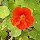 Nature's Larder in the United Kingdom & Ireland