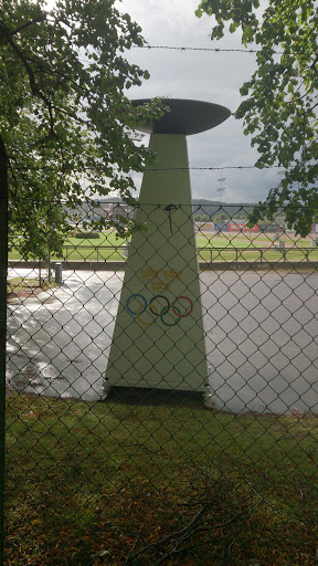 Olympic Fireplace